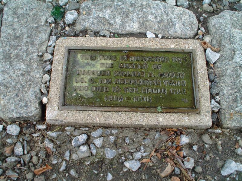 Zoom on the image : Tree Marker